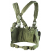 Recon Chest Rig Multicam: *MCR5-008